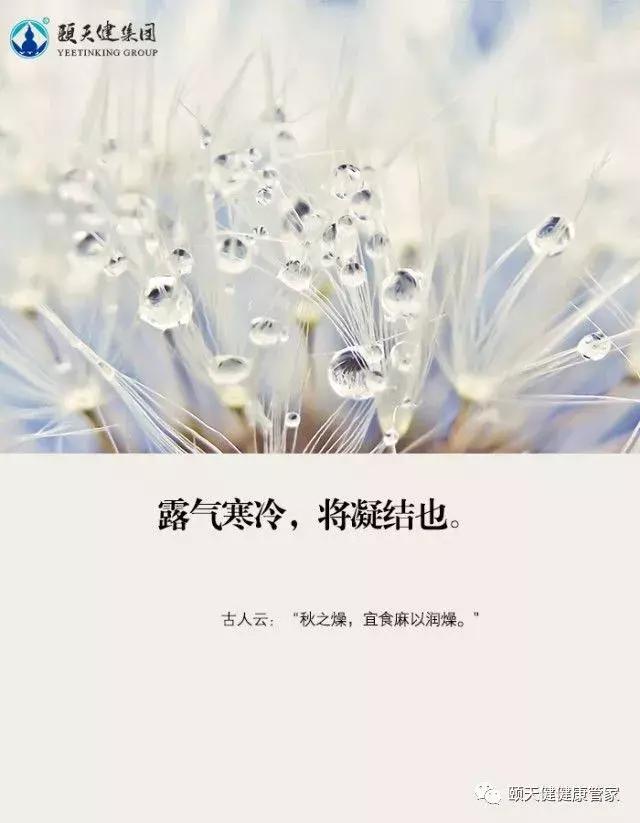 今日寒露,防秋燥,警惕抑郁,养生正当时!