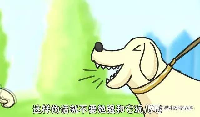 世界狂犬病日漫画,世界狂犬病漫画