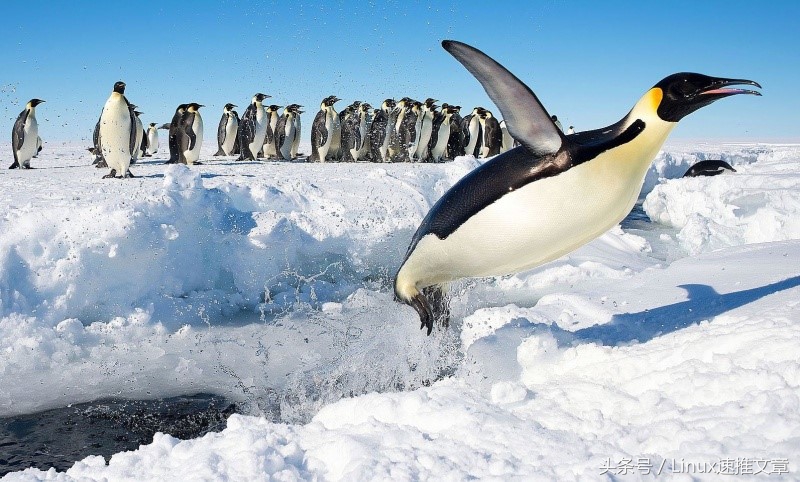 linux运维入门需要掌握的技能,对linux系统的认识和个人理解