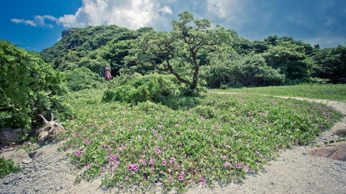 带孩子自由行三亚旅游攻略,带着宝宝重游西安