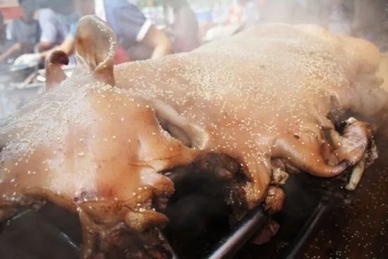 顺德好吃好玩,顺德好吃攻略