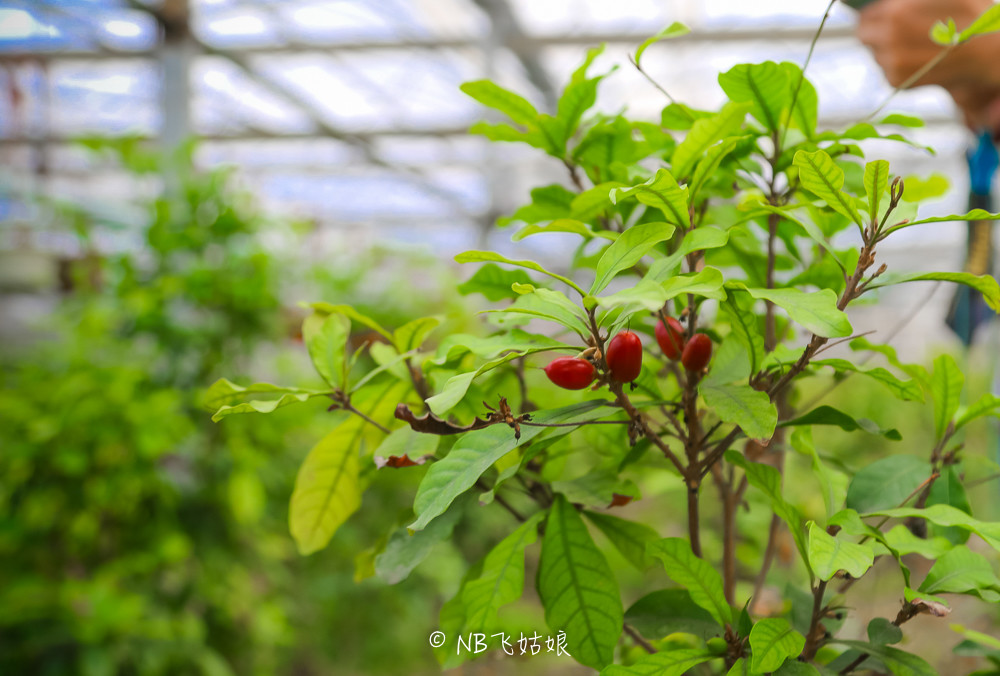 南通适合亲子游玩的园区,南通绿博园旁边游玩的地方