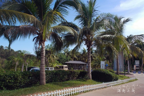 5天4夜三亚之旅,和闺蜜来三亚一定要这样玩