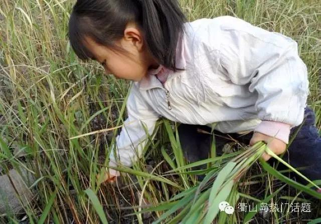 春天到了同学们到山上植树,春天到了同学们到山坡上植树