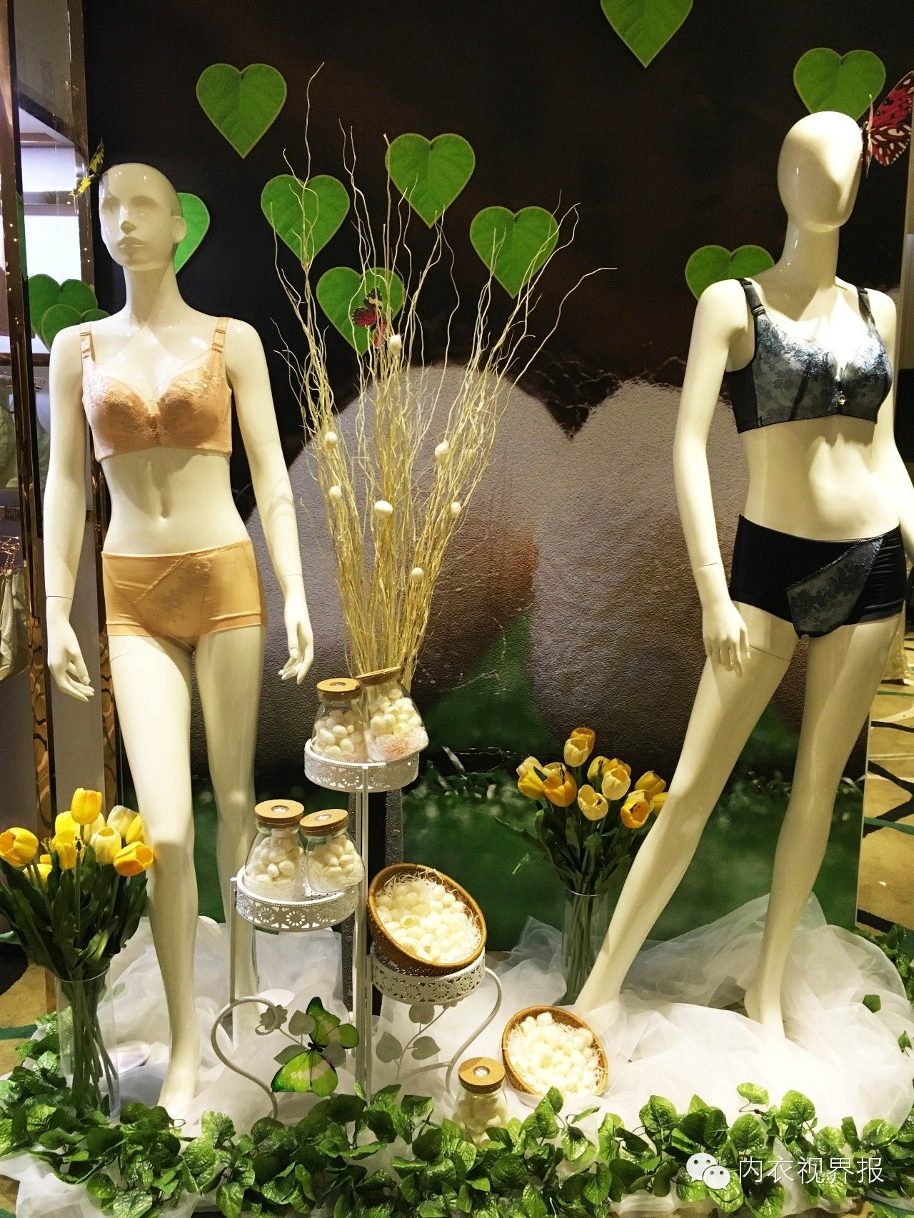 娅·筑2016新品鉴赏会召开，赢领薄时代