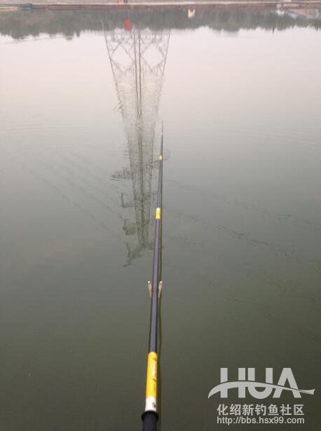 揭秘龙背后的故事,为什么那么多龙纹鲤