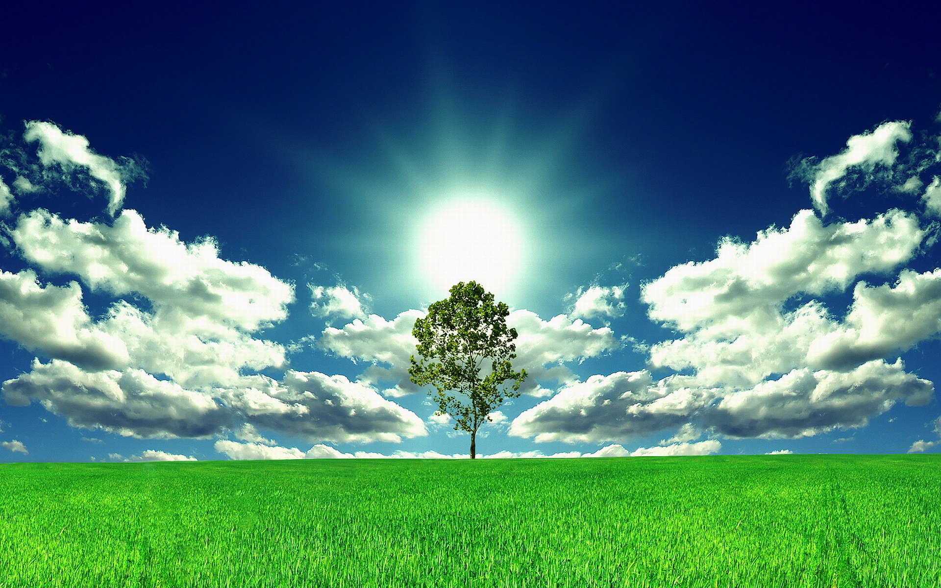 烘托气氛的环境描写段落摘抄,渲染气氛烘托环境描写