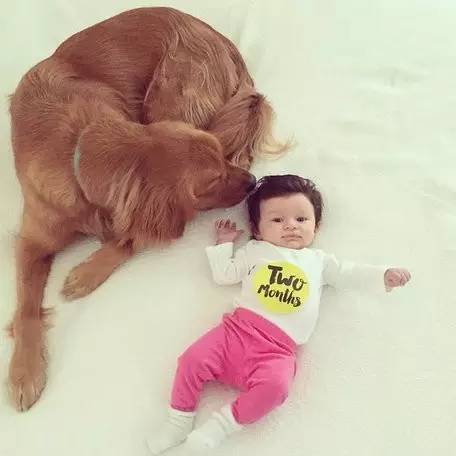 生娃产假是多久,生娃激励政策