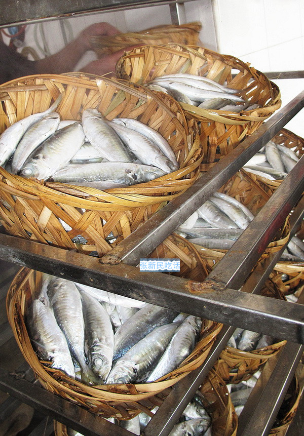 潮汕巴浪鱼和福建巴浪鱼的区别,巴浪鱼是不是淡水鱼