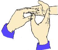 张世卿教授漫谈扁桃体的是是非非