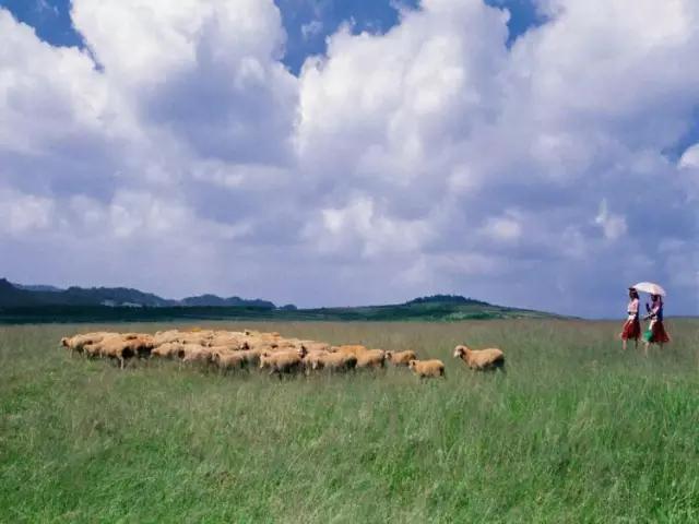 人间四月天，醉美是寻甸！