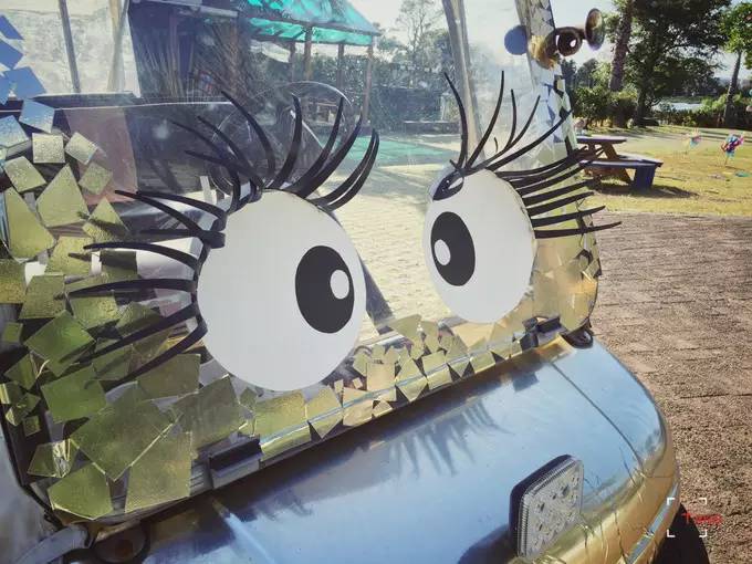 做一只治愈的猫,做一只快乐的柴犬