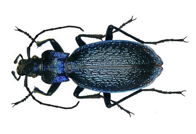 foampositeone喷泡,airfoampositeone电光紫喷