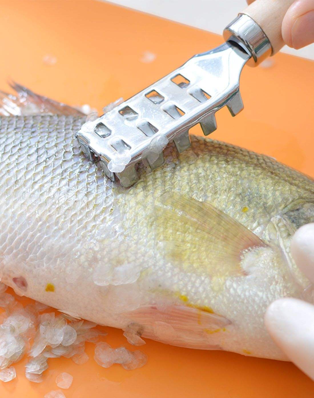 如何快速收拾河鱼,鱼怎么处理才干净又简单