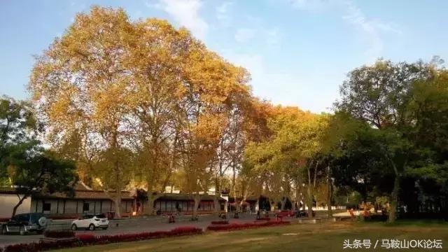 真正的马鞍山照片,马鞍山到底是哪儿的