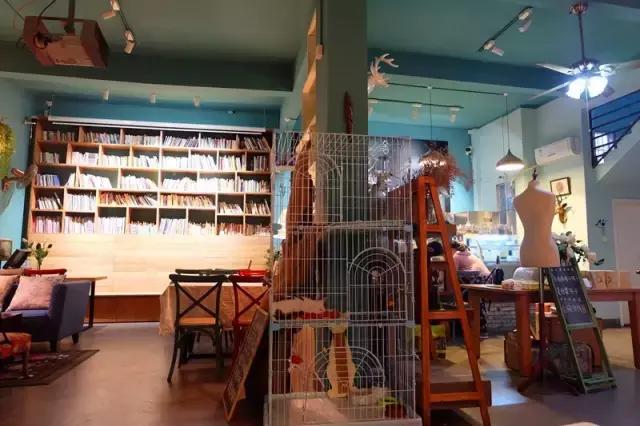 小洲玩点啥,小洲去哪玩了