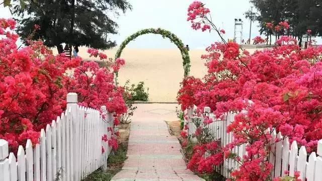 鹿晗关晓彤定情之作,鹿晗关晓彤相恋过程