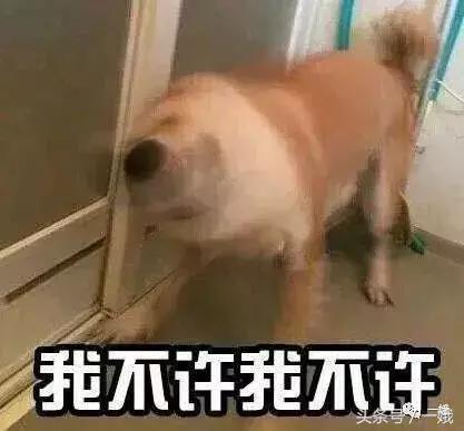 400万的鹿晗,鹿晗镜头里的关晓彤