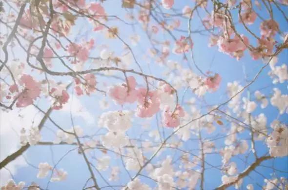 自拍修图软件推荐,手机推荐摄影p图软件