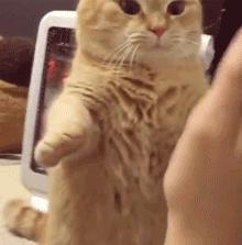 瀵圭尗鐨勮瑙ｅお娣变簡,甯︿綘鍏ㄩ潰浜嗚В姗樼尗