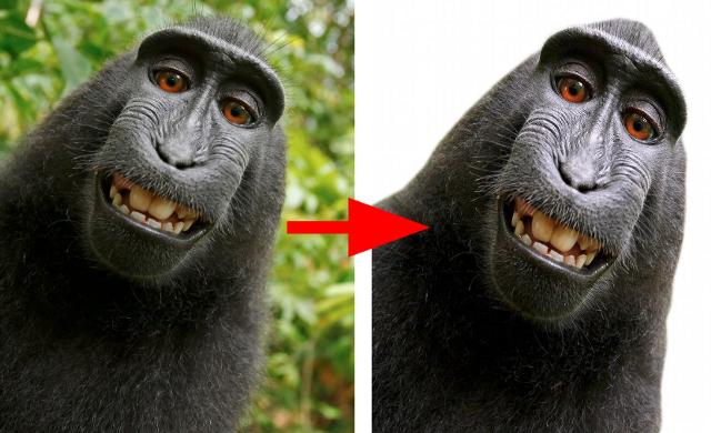 智能抠图背景抠不干净教程,ps2023学习抠图全套免费课程