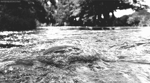 阴D说:老娘不背污秽的锅