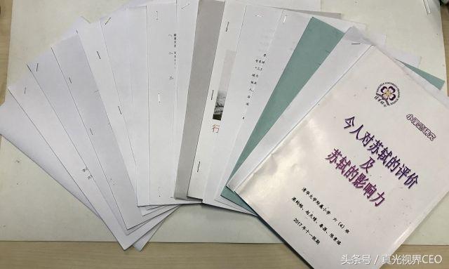 小学关于苏轼的小论文,关于苏轼文学方面的论文