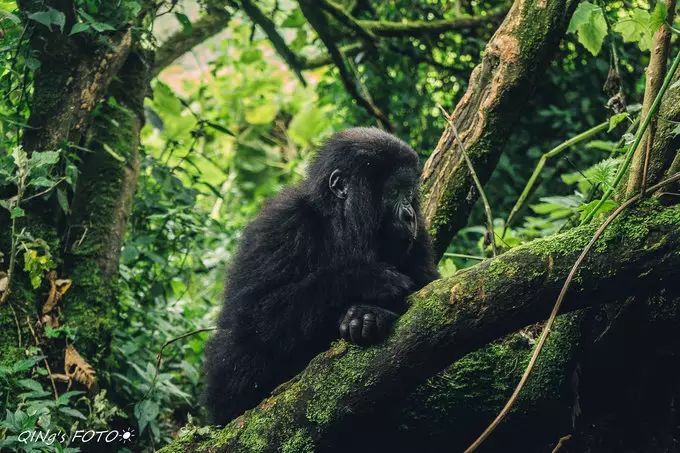 750块钱可以干什么,750块钱能干什么