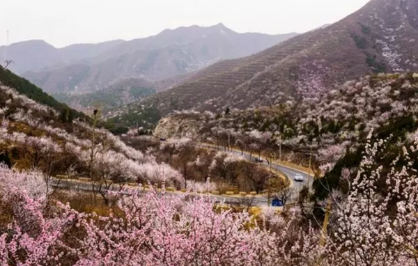 生活不止眼前的苟且小爱带你去昌平探索诗和远方