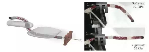 软体机器人的前沿与展望,软体机器人设计与理论的就业前景