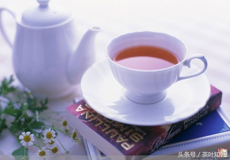 茶言茶语品茶悟人生的经典句子,小孩茶言茶语品茶悟人生