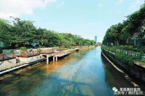 深圳盐田对比其他区,盐田区是深圳核心区吗