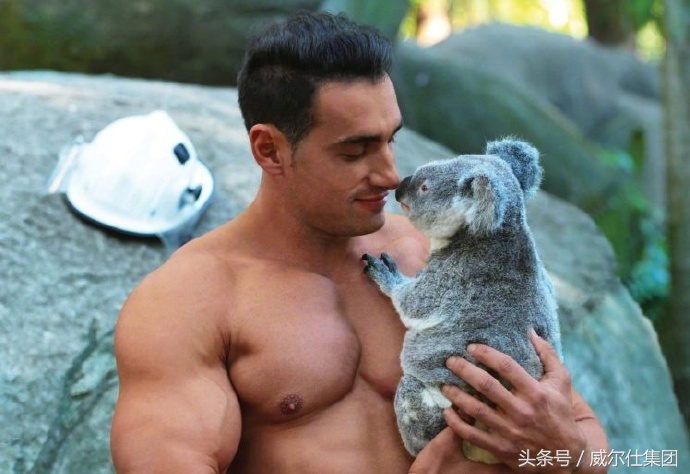 澳洲消防员公益日历图,澳大利亚消防员的日历