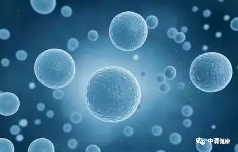 储存脐带间充质干细胞和脐带血干细胞有哪些区别？