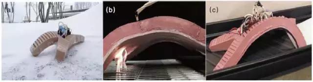 软体机器人的前沿与展望,软体机器人设计与理论的就业前景