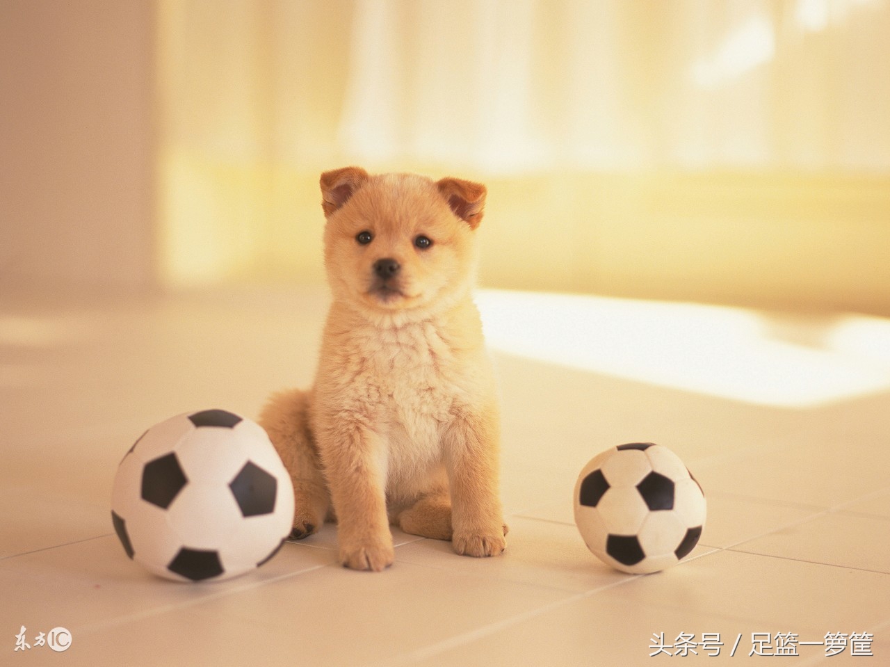 足球狗有胆量不陪女朋友过周六？原因说出来怕你不信！