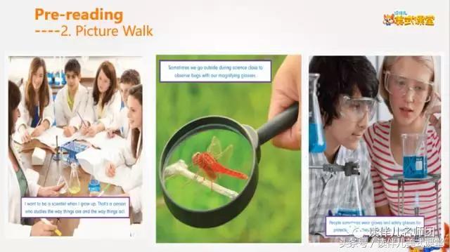 英语课科学课,英文科学课