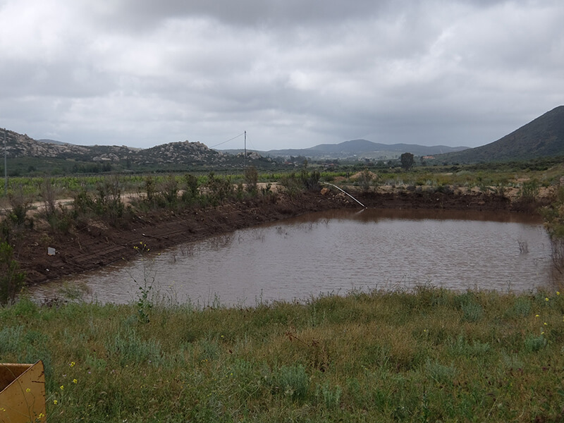 说起来你可能不信，比起龙舌兰和科罗娜，我更爱墨西哥葡萄酒！
