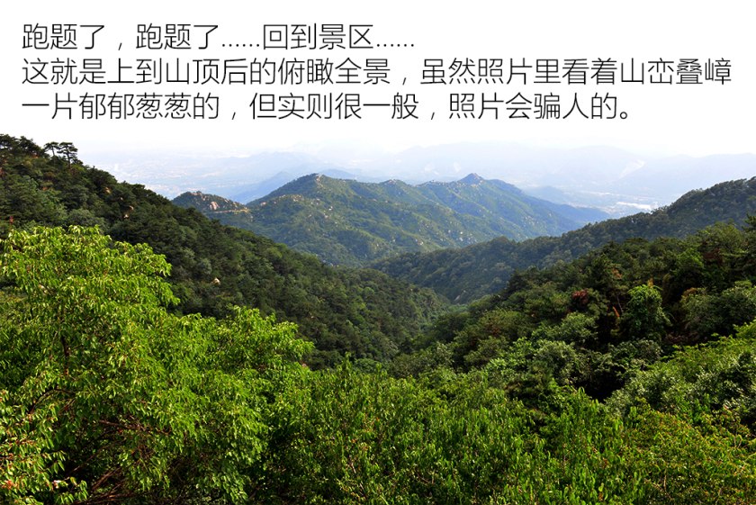 车牌被盗怎么处理最有效,车牌被盗怎么补救最好