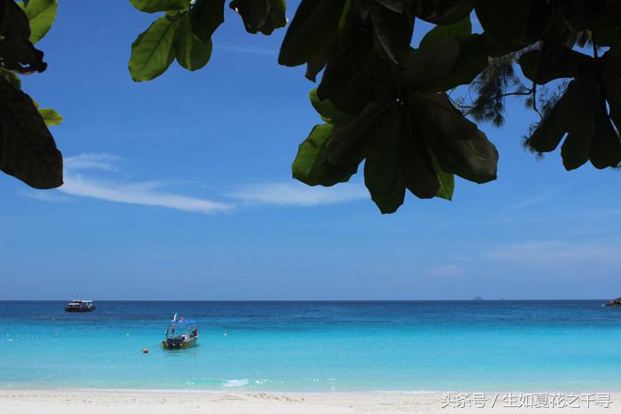 去兰卡威逗小鲨鱼，登嘉楼热浪岛浪一浪