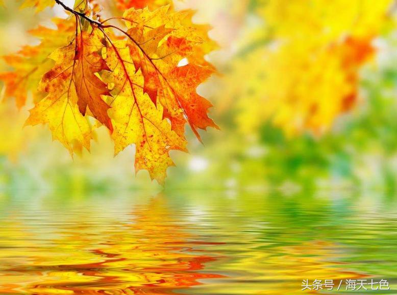 顺天时,秋天怎么艾灸