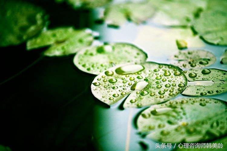 心理上的强迫症是什么,为什么总有一种强迫症心理