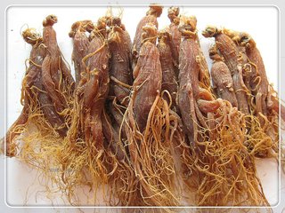 人参怎么选才是好的,都说人参好人参真的有用吗