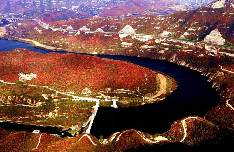 秋韵流过的晋城红