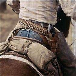 美国女性枪支文化,美国女款枪支