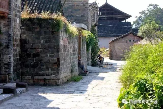 开着房车去遛娃,开着房车带狗狗出去玩