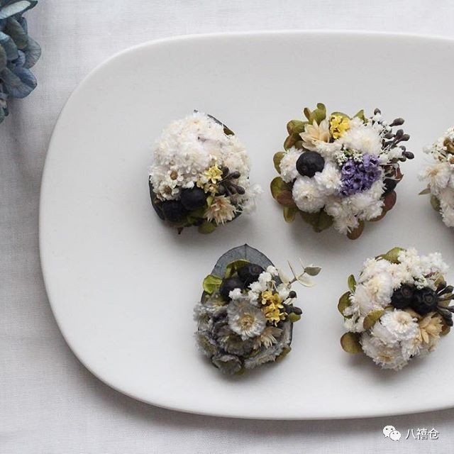 干花的颜色和品种,干花的形态分类