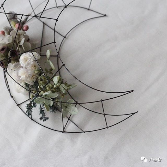 干花和假花有什么区别呀,干花品种及图片大全