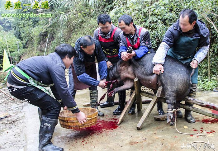 适合农村小本创业项目小型加工厂,利润很吓人10个冷门创业项目农村