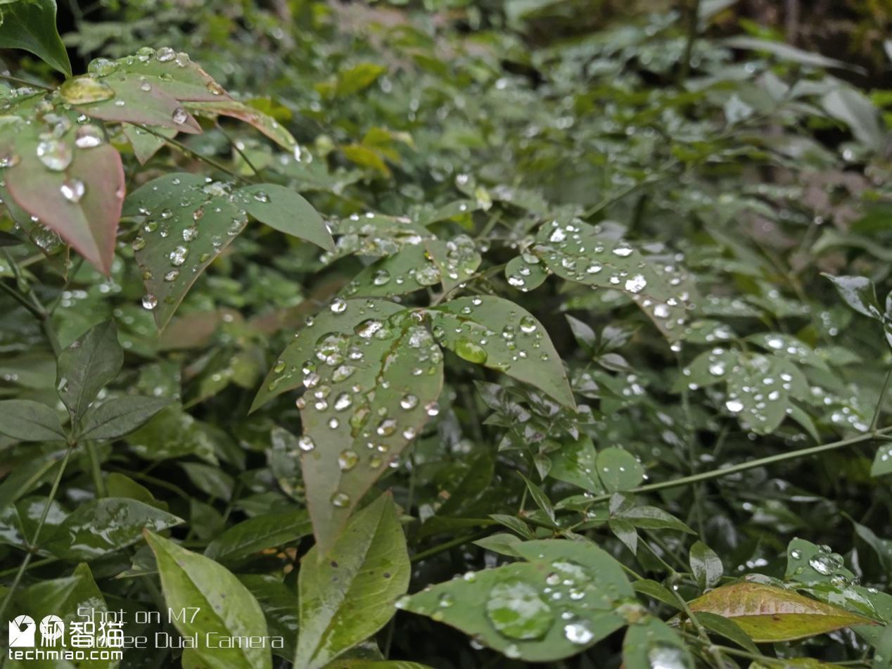 金立m7最新款,金立m7手机好用不